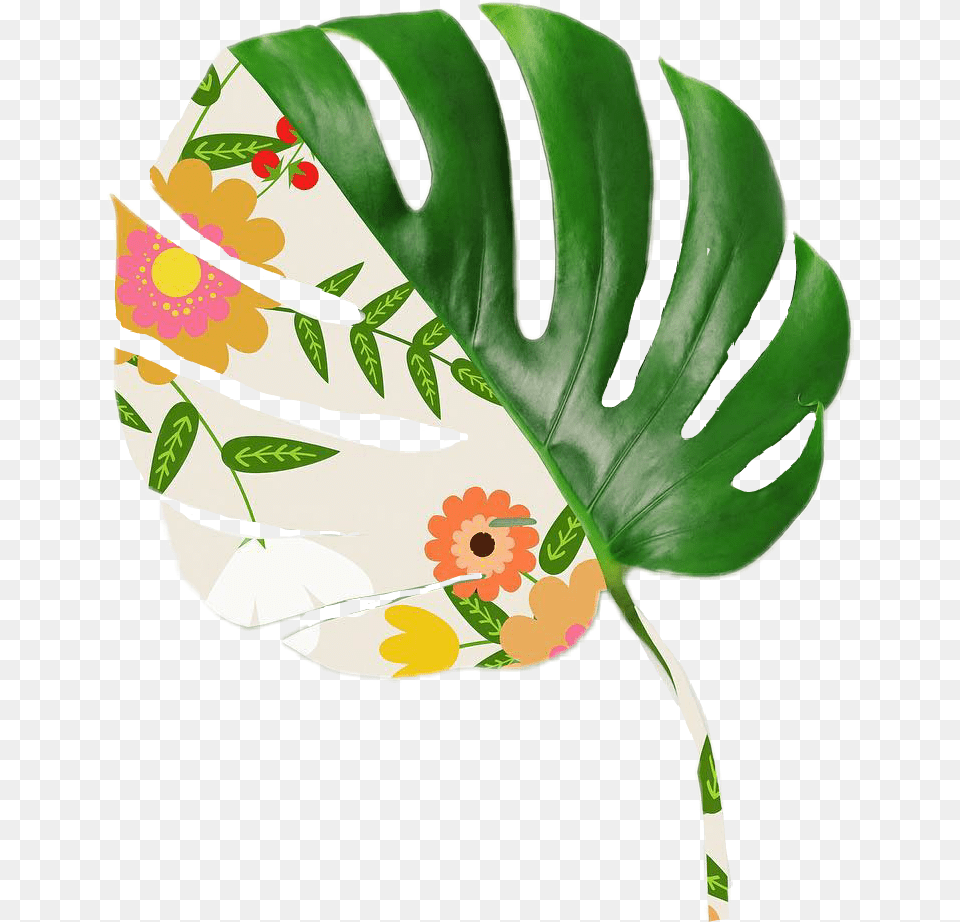 Leave Flowersplant, Leaf, Plant, Clothing, Glove Free Transparent Png
