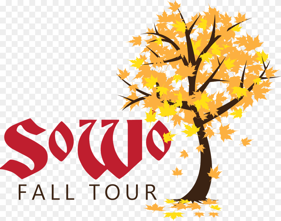 Leave For Mountain Cruise Sowo Fall Tour, Leaf, Plant, Tree, Maple Png Image