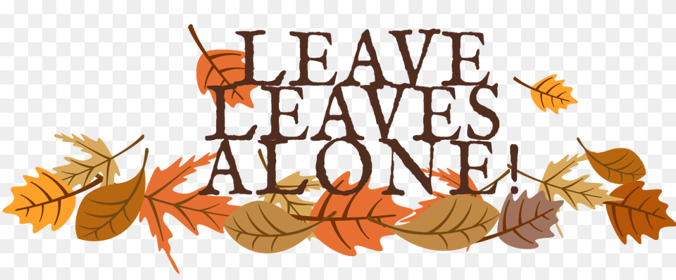 Leave Leaves Alone Dont Mow, Leaf, Plant, Tree, Text Png Image