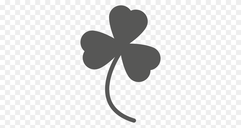 Leave St Patrick Flower, Leaf, Plant Free Transparent Png