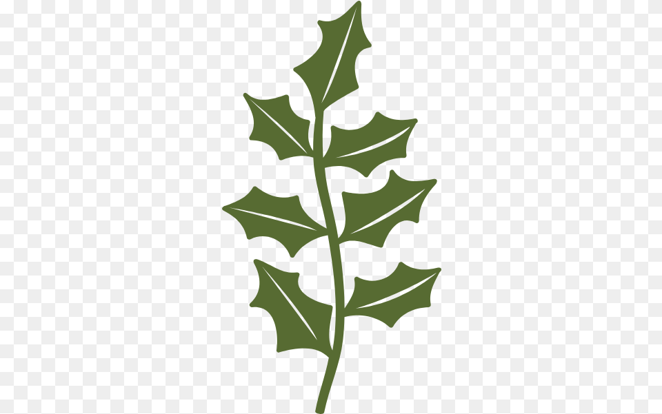 Leave Tree Christmas Decos Vector American Holly, Leaf, Plant, Oak, Sycamore Free Transparent Png