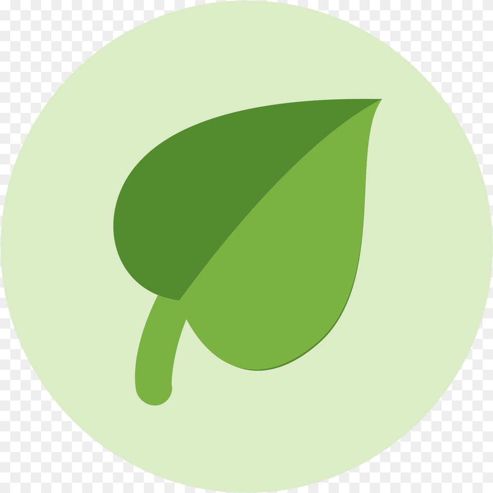 Leave Vector Single Illustration, Leaf, Plant, Herbal, Herbs Free Png Download