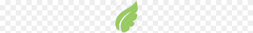 Leaves, Leaf, Plant, Green Png