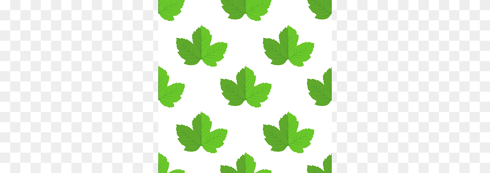 Leaves Green, Herbs, Leaf, Mint Png Image