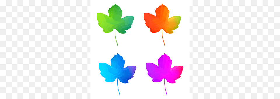 Leaves Leaf, Plant Free Transparent Png