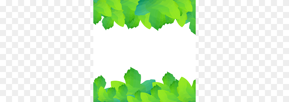 Leaves Green, Leaf, Plant, Art Free Png Download