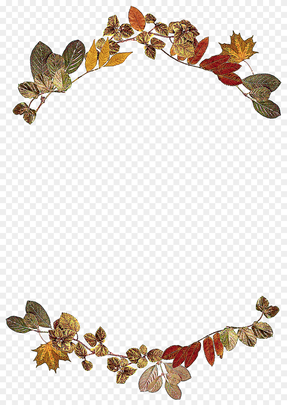 Leaves Accessories, Leaf, Plant, Jewelry Free Transparent Png