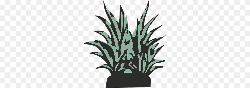 Leaves Plant, Potted Plant, Leaf, Art Png