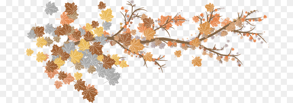 Leaves Art, Pattern, Graphics, Plant Free Png Download