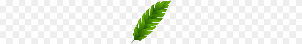 Leaves, Leaf, Plant, Green, Person Free Png