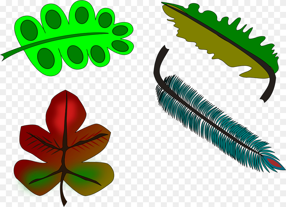 Leaves And Feather Clip Arts Clip Art, Graphics, Leaf, Plant, Animal Free Png