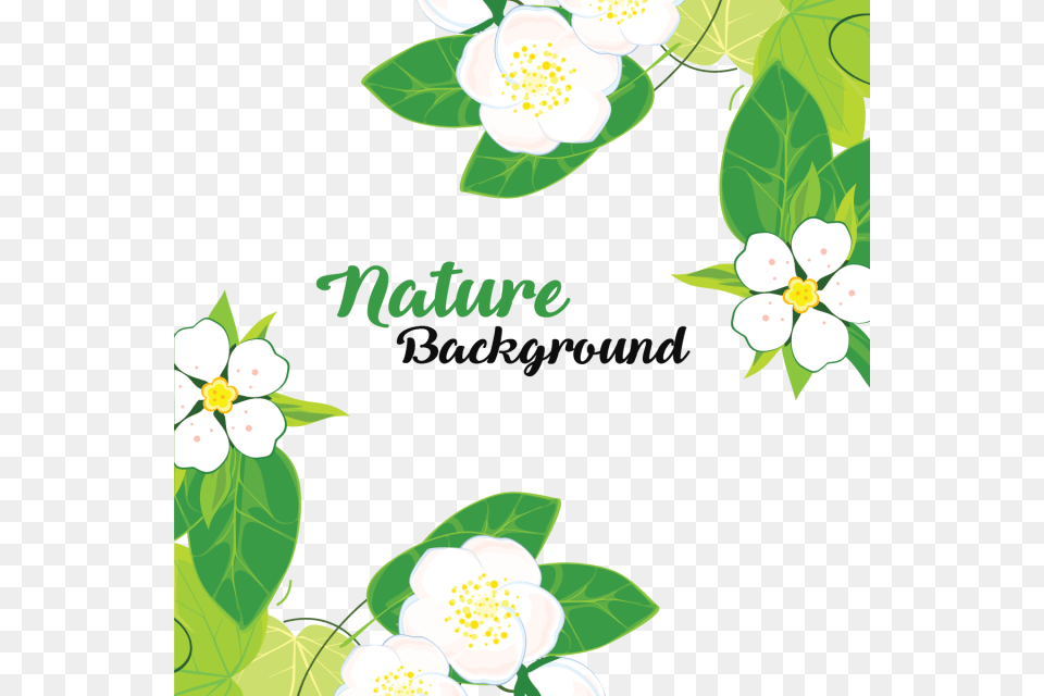 Leaves And Flowers With Nature Background Leaves Background, Greeting Card, Art, Envelope, Graphics Png Image