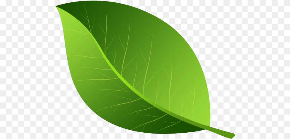 Leaves And Leaf Images Transparent Background Play Leaf Transparent Background, Plant, Disk Free Png Download