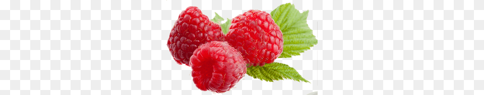 Leaves And Raspberries, Berry, Food, Fruit, Plant Free Png Download