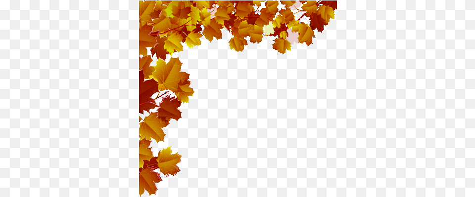 Leaves Animated Nature Caree Fall Leaves Transparent Gif, Leaf, Maple, Plant, Tree Free Png