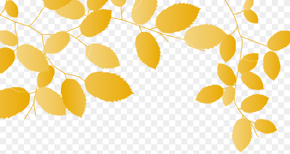 Leaves Background Yellow Leaves Background, Leaf, Plant Free Png