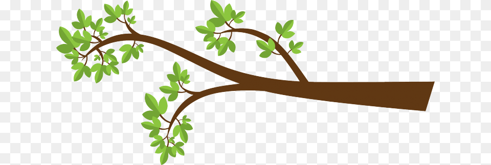 Leaves Branch Clipart, Tree, Plant, Leaf, Herbs Free Png