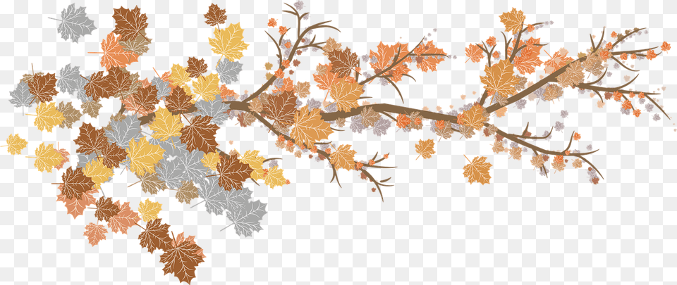 Leaves Branches Autumn Nature Plant Botany Garden Fall Branches, Leaf, Pattern, Art, Graphics Png Image