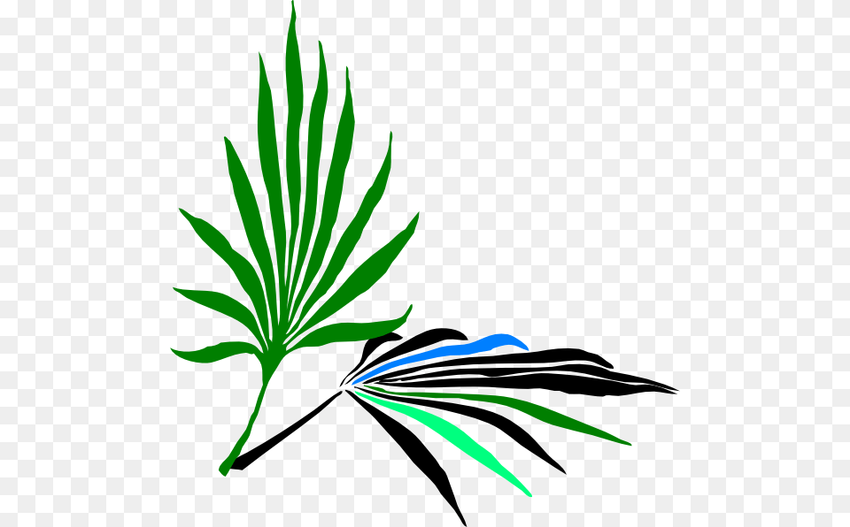 Leaves Clip Art At Palm Frond Clip Art, Herbal, Herbs, Leaf, Plant Png Image