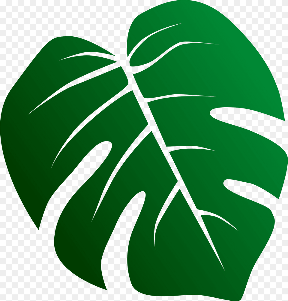Leaves Clipart, Green, Leaf, Plant Free Png
