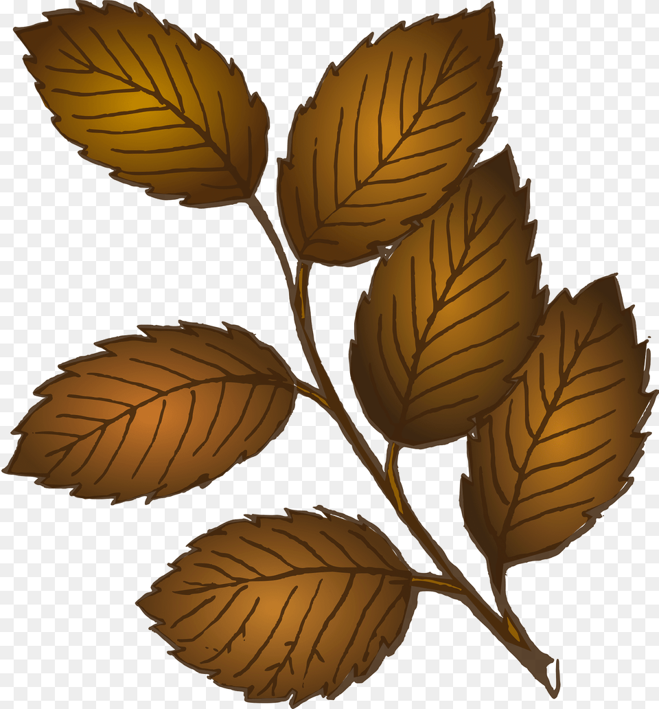 Leaves Clipart, Leaf, Plant Free Png