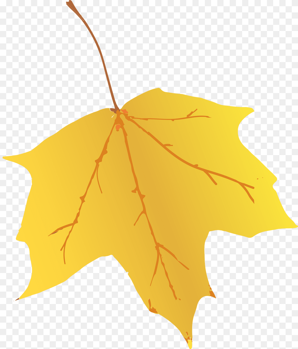 Leaves Clipart, Leaf, Maple Leaf, Plant, Tree Free Png Download