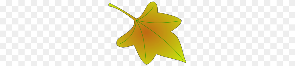 Leaves Clipart, Leaf, Maple Leaf, Plant, Bow Png Image