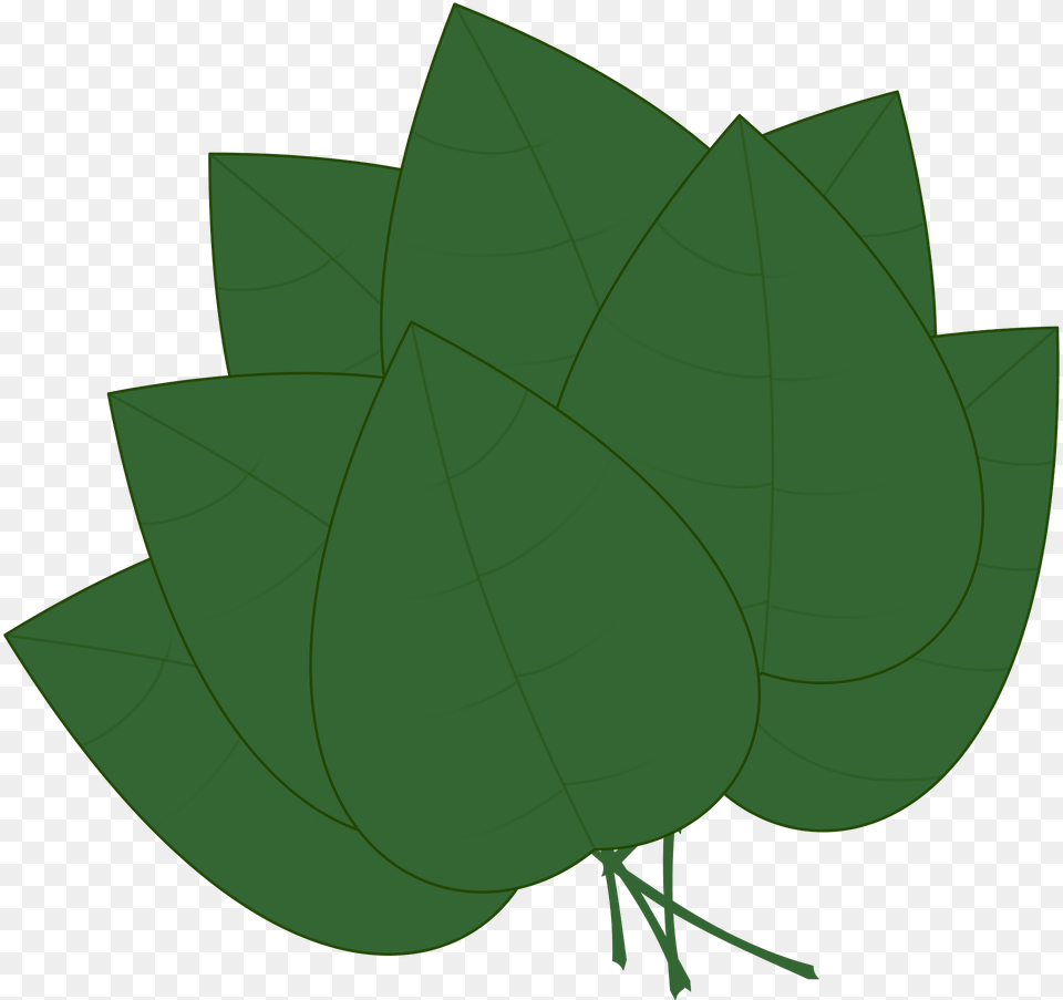 Leaves Clipart, Green, Leaf, Plant, Herbal Png Image