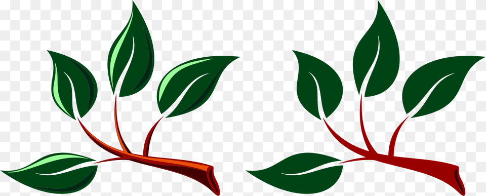 Leaves Clipart, Art, Pattern, Leaf, Herbs Png Image