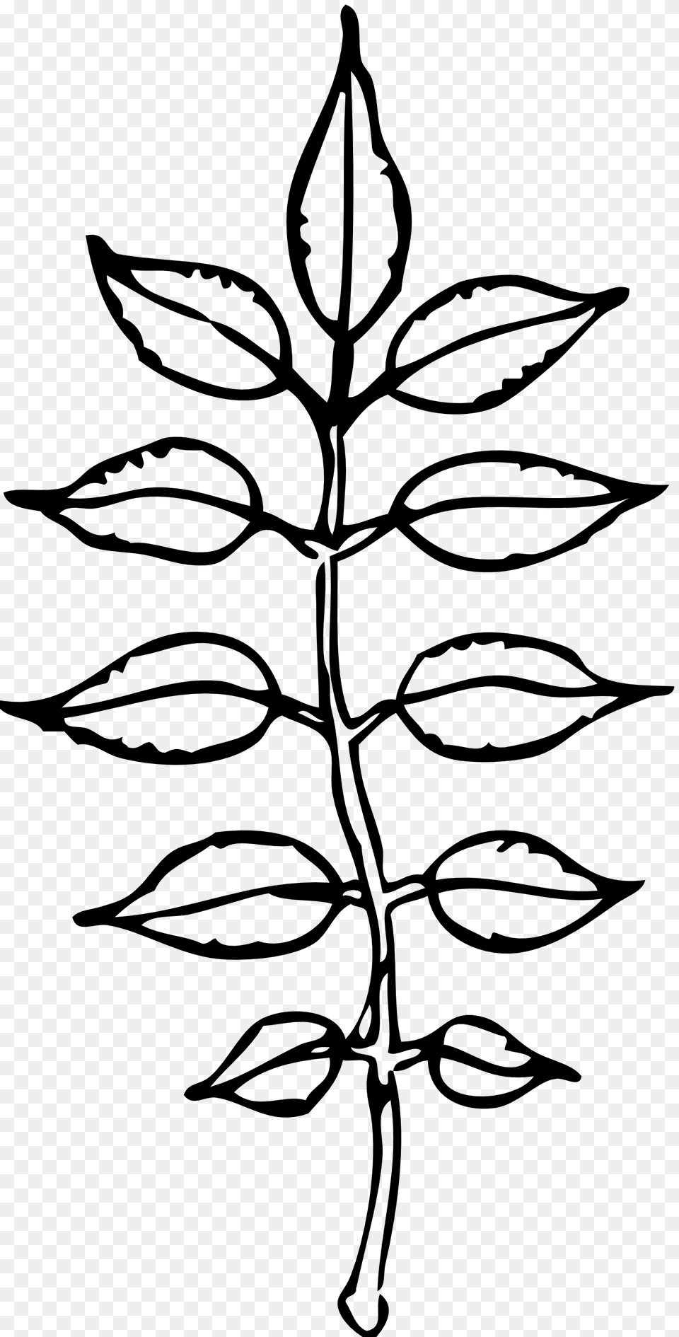 Leaves Clipart, Stencil, Plant, Leaf, Silhouette Png Image