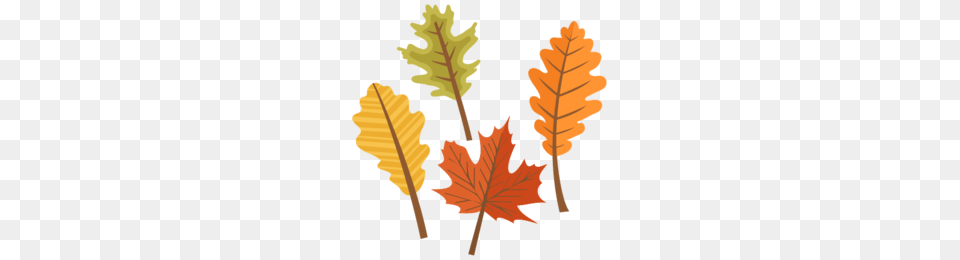 Leaves Clipart, Leaf, Plant, Tree, Person Free Transparent Png