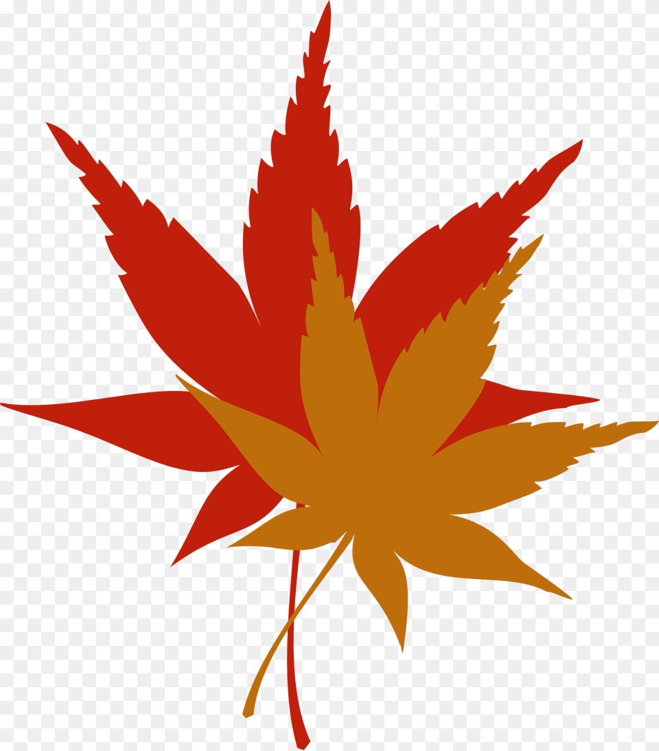 Leaves Clipart, Leaf, Plant, Animal, Fish Png