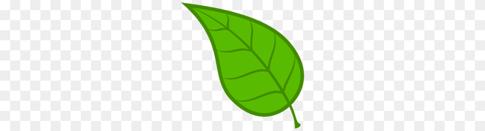 Leaves Clipart, Leaf, Plant Free Transparent Png