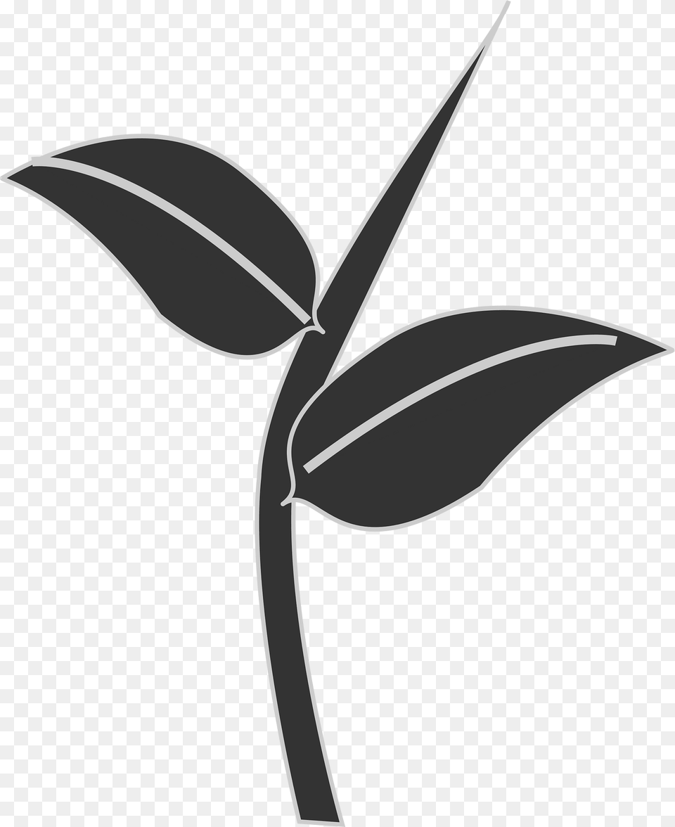 Leaves Clipart, Leaf, Plant, Flower, Green Png Image