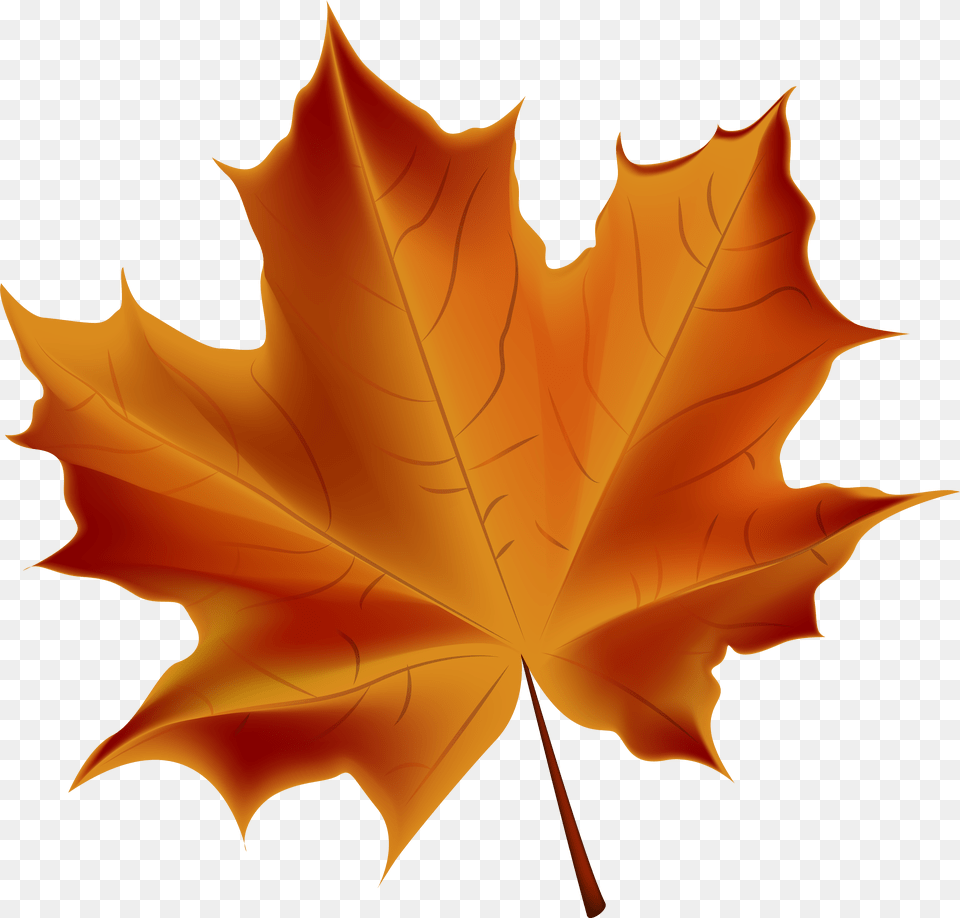 Leaves Clipart Autum Leaves Png