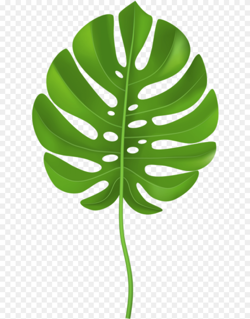 Leaves Clipart Cartoon Clip Art Jungle Leaves, Leaf, Plant, Person Free Png