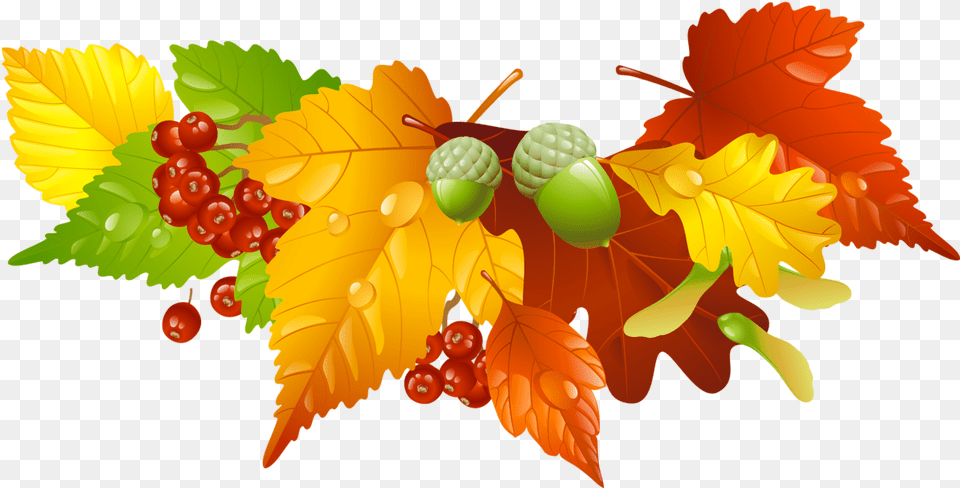 Leaves Clipart Decoration Autumn Leaves Clipart, Food, Leaf, Nut, Plant Png Image