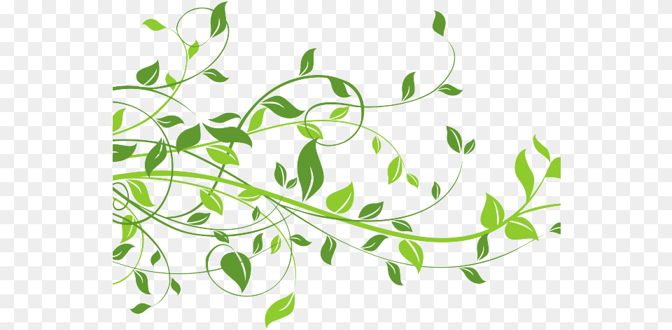 Leaves Clipart Frame Light In The Window Mitford Years, Art, Floral Design, Graphics, Green Free Transparent Png