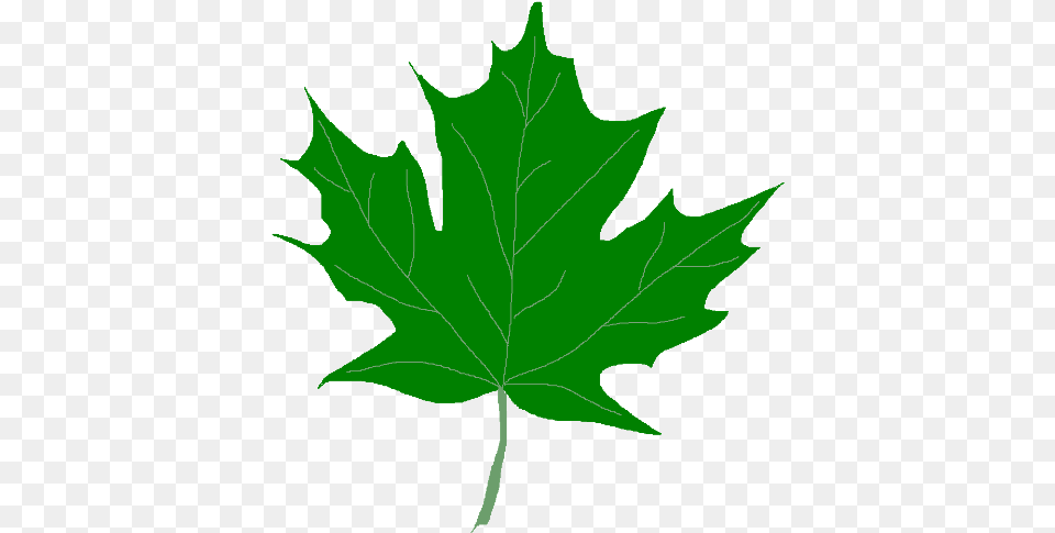 Leaves Clipart Green Leaf Green Fall Leaves Clip Art, Maple Leaf, Plant, Tree, Person Free Png Download