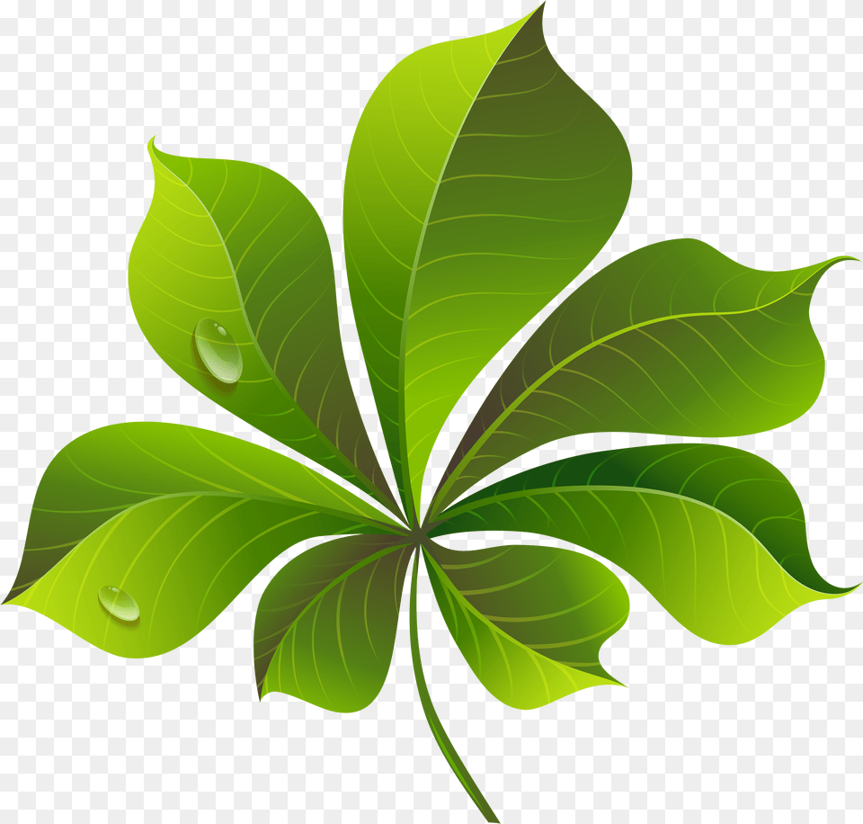 Leaves Clipart Leaf Clip Art, Green, Plant Png Image