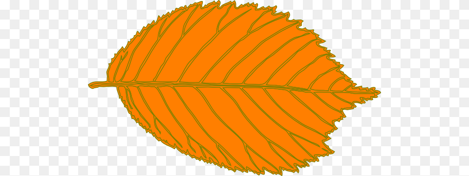 Leaves Clipart Orange Leaf, Plant, Tree Png