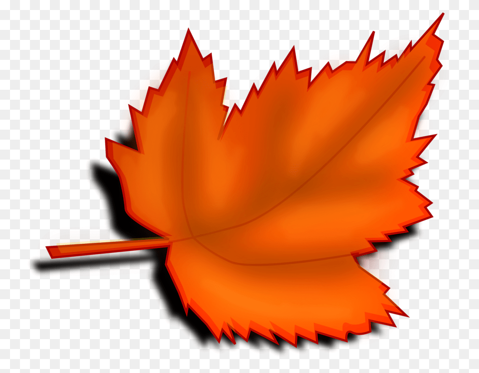 Leaves Clipart Orange Leaf, Plant, Tree, Maple Leaf, Maple Free Transparent Png