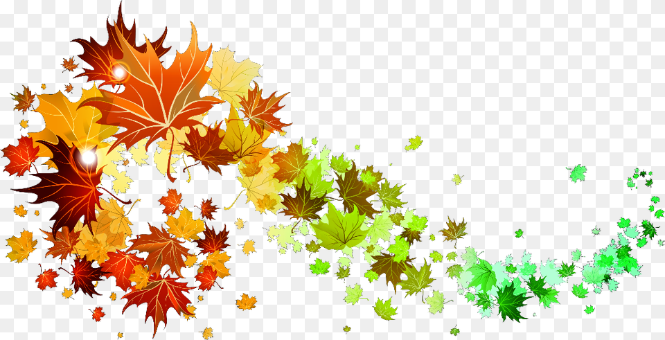 Leaves Colorgradient Fall Autumn Swirl Wind Pretty Fall Leaves Transparent Background, Leaf, Plant, Pattern, Tree Free Png Download