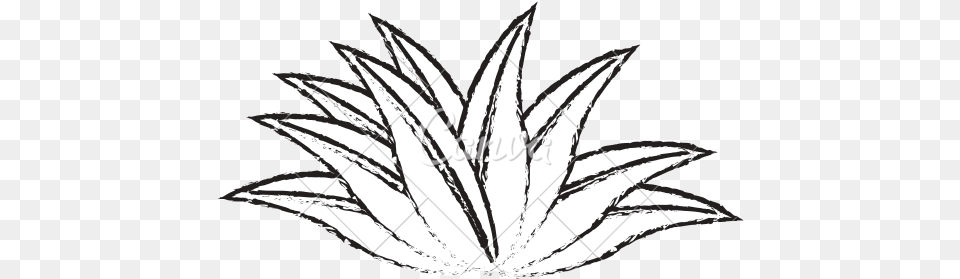 Leaves Drawing At Getdrawings Plant Sketch, Leaf, Animal, Fish, Sea Life Png Image