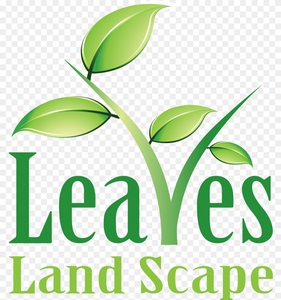 Leaves Egypt Logo Egypt, Green, Herbal, Herbs, Leaf Png Image
