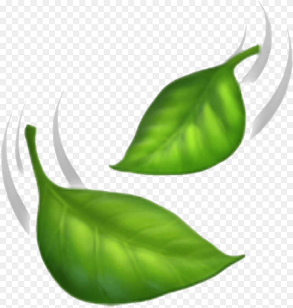 Leaves Emoji Clipart Iphone Leaf Emoji, Herbal, Herbs, Plant Free Png
