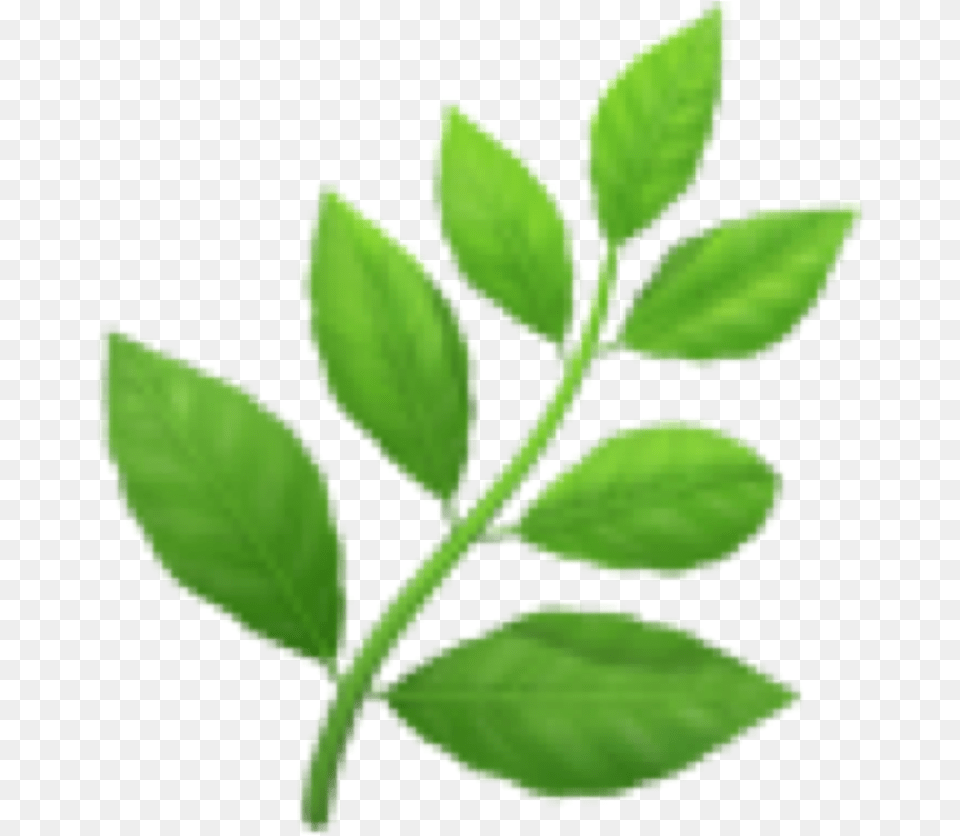 Leaves Emoji Emoticon Iphone Iphoneemo Herb Emoji Transparent, Herbal, Herbs, Leaf, Plant Png