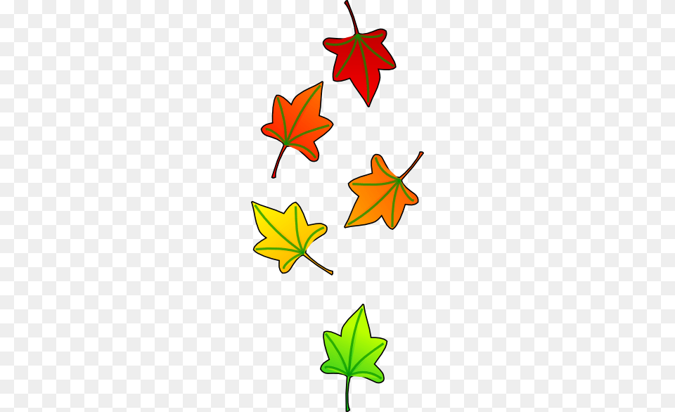 Leaves Falling Clip Art, Leaf, Plant, Tree, Maple Leaf Free Transparent Png