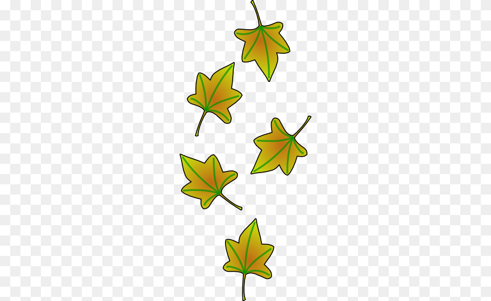 Leaves Falling Clip Art, Leaf, Plant, Tree Png Image