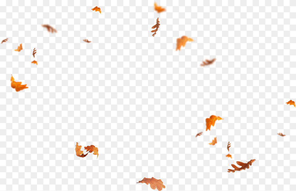 Leaves Falling Overlay Fall Leaves, Person Png